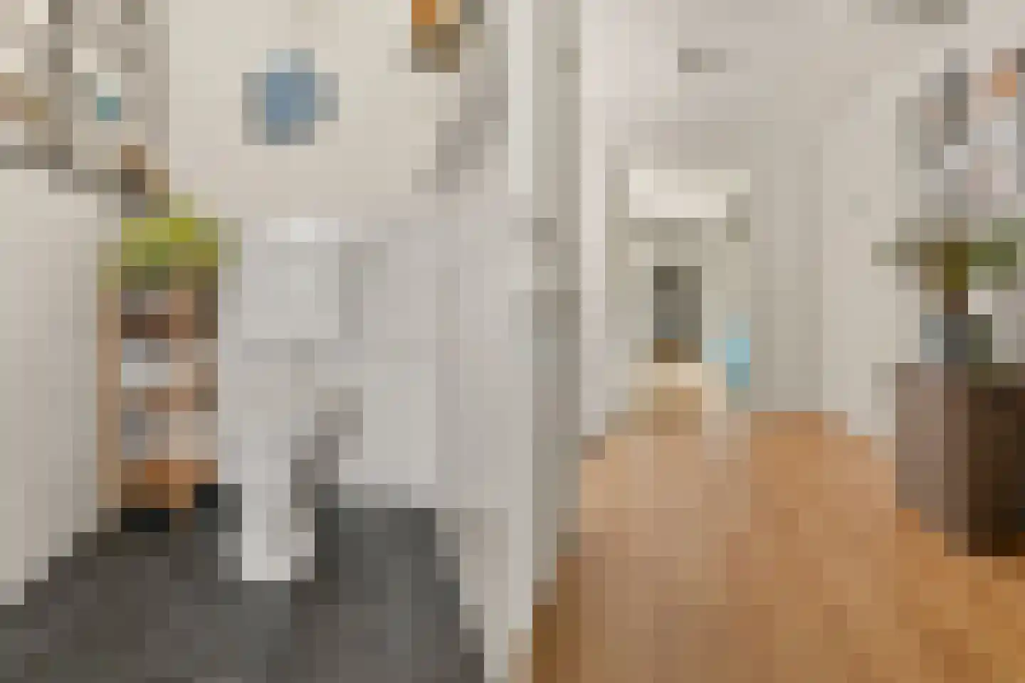 Prins Hendrikweg 49 Vleuten thumbnail 7