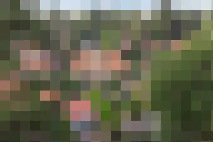 Prins Hendrikweg 50 Doorn thumbnail 31