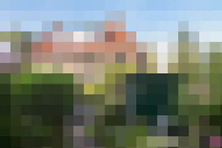 Prins Hendrikweg 50 Doorn thumbnail 32