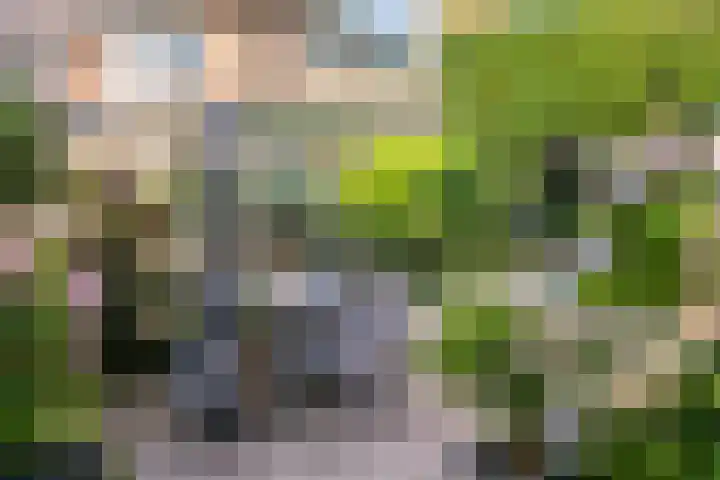 Prins Hendrikweg 50 Doorn thumbnail 33