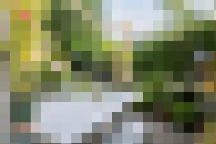 Prins Hendrikweg 50 Doorn thumbnail 34