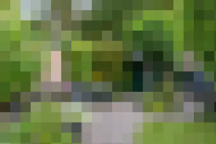 Prins Hendrikweg 50 Doorn thumbnail 36