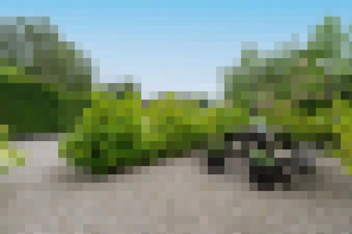Prins Hendrikweg 65 Putten thumbnail 5