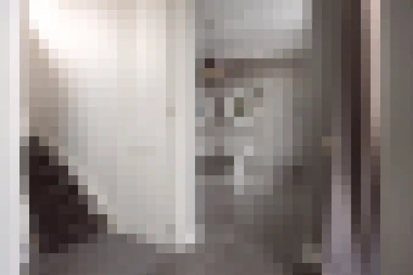 Prins Hessen Casselstraat 2 Maastricht thumbnail 14