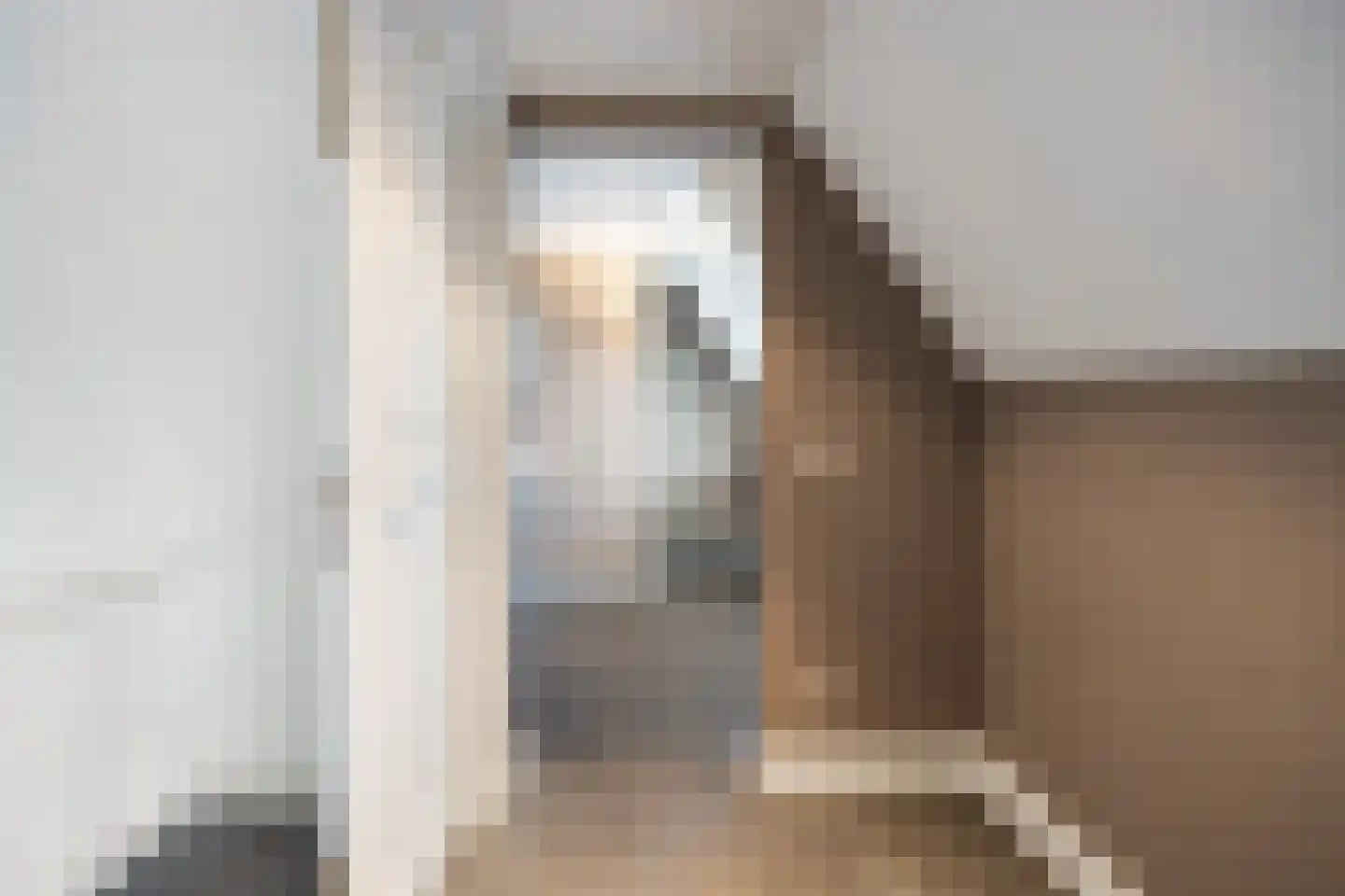 Prins Hessen Casselstraat 2 Maastricht thumbnail 22