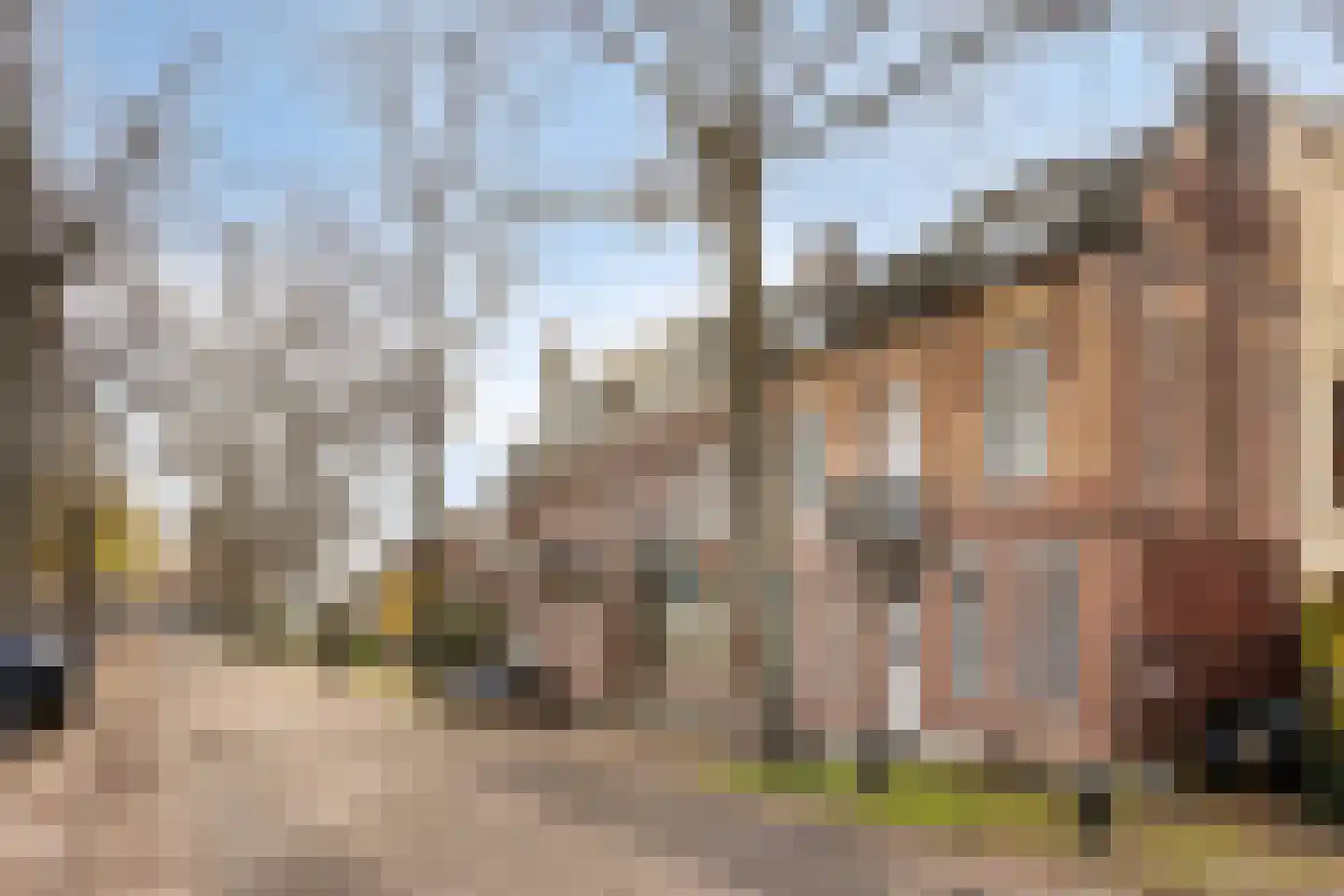 Prins Hessen Casselstraat 2 Maastricht thumbnail 26