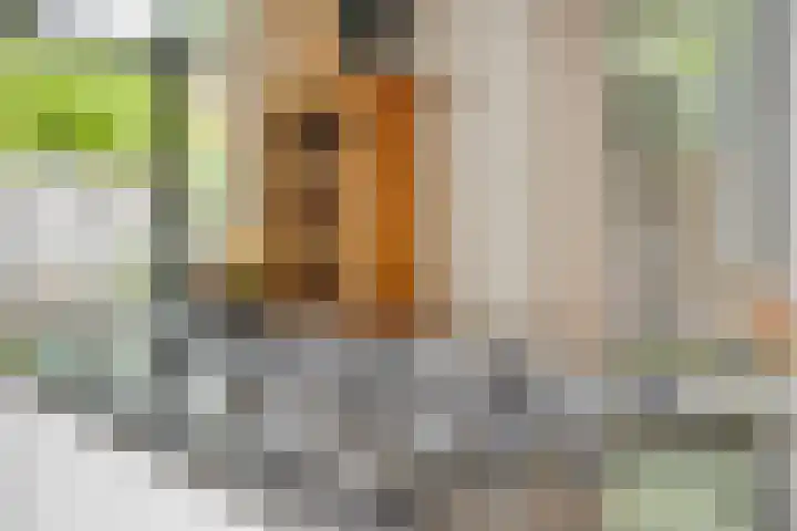 Prins Hessen Casselstraat 8 Maastricht thumbnail 8