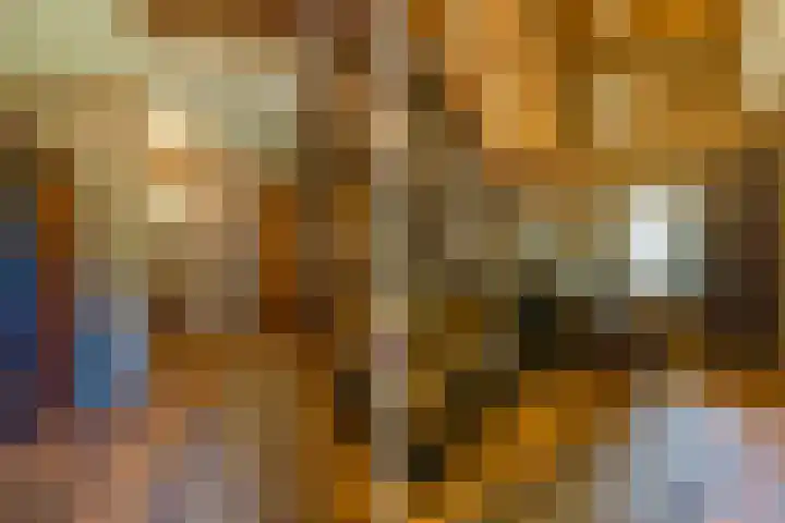 Prins Johan Frisolaan 13 't Harde thumbnail 11