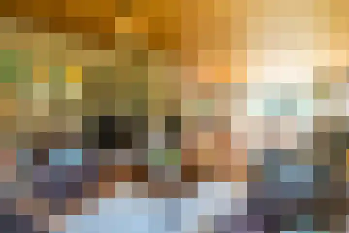 Prins Johan Frisolaan 13 't Harde thumbnail 17
