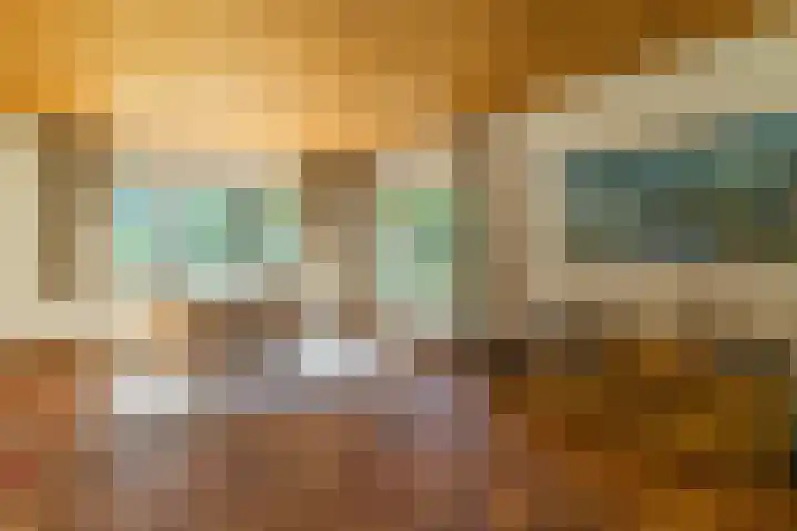 Prins Johan Frisolaan 13 't Harde thumbnail 19