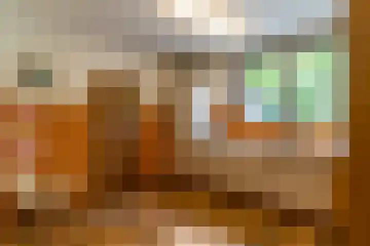 Prins Johan Frisolaan 13 't Harde thumbnail 24