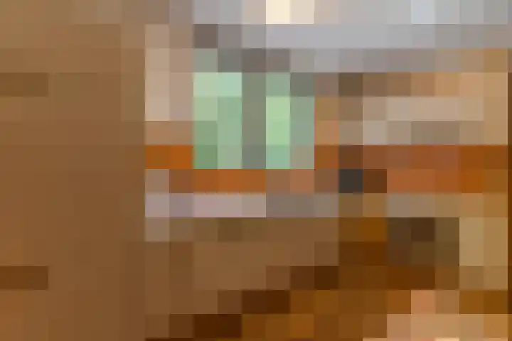 Prins Johan Frisolaan 13 't Harde thumbnail 25