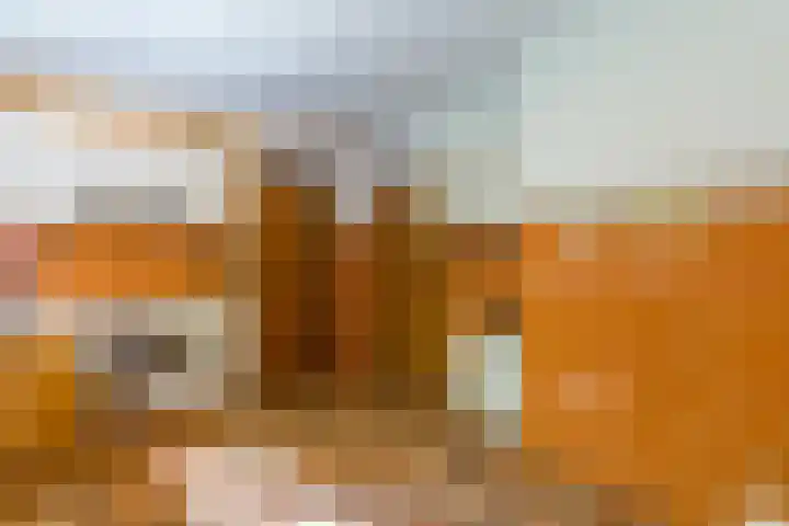 Prins Johan Frisolaan 13 't Harde thumbnail 26