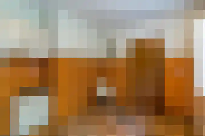 Prins Johan Frisolaan 13 't Harde thumbnail 27