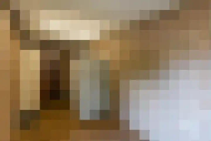Prins Johan Frisolaan 13 't Harde thumbnail 29