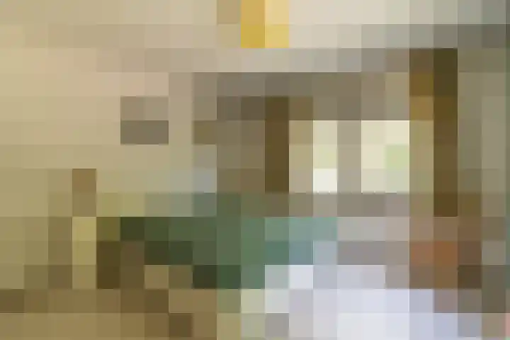 Prins Johan Frisolaan 13 't Harde thumbnail 31