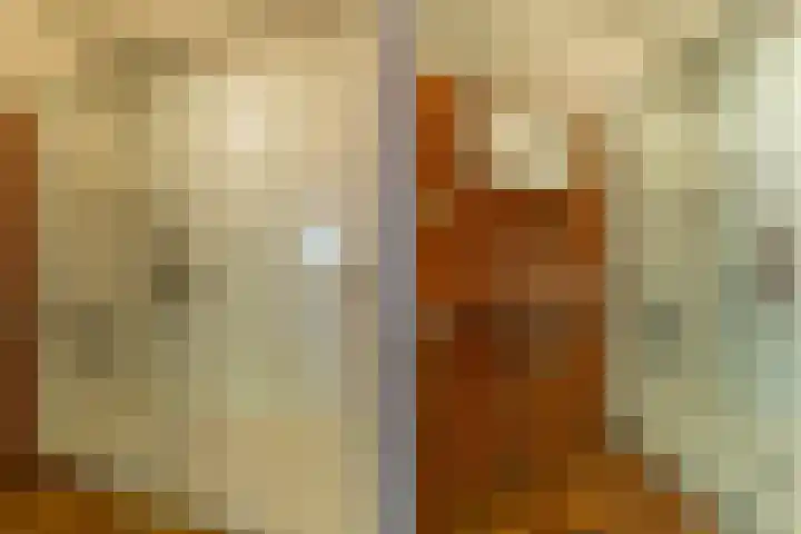 Prins Johan Frisolaan 13 't Harde thumbnail 33