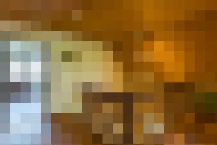 Prins Johan Frisolaan 13 't Harde thumbnail 34