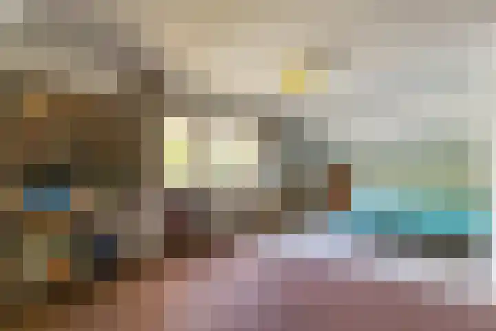 Prins Johan Frisolaan 13 't Harde thumbnail 35