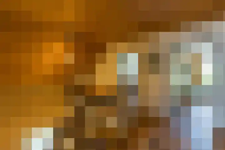 Prins Johan Frisolaan 13 't Harde thumbnail 39