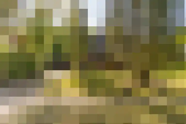 Prins Johan Frisolaan 13 't Harde thumbnail 4