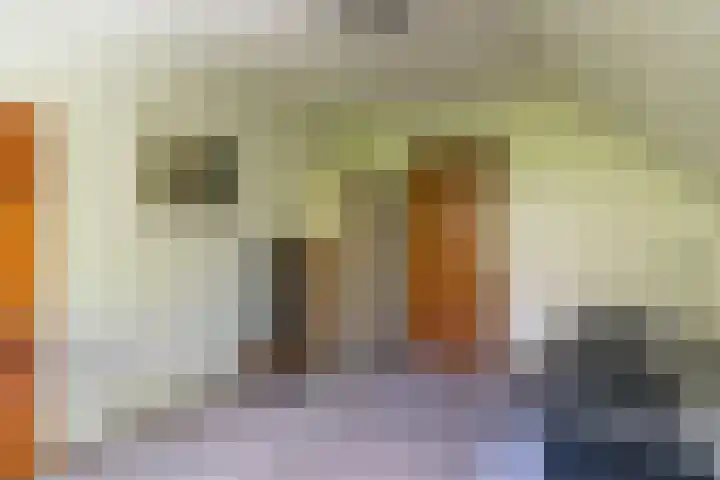 Prins Johan Frisolaan 13 't Harde thumbnail 42