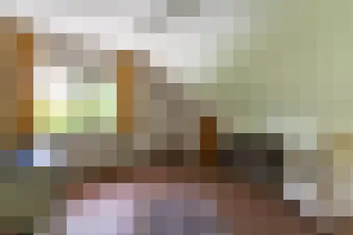 Prins Johan Frisolaan 13 't Harde thumbnail 43