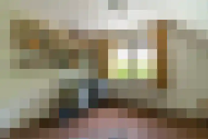 Prins Johan Frisolaan 13 't Harde thumbnail 44