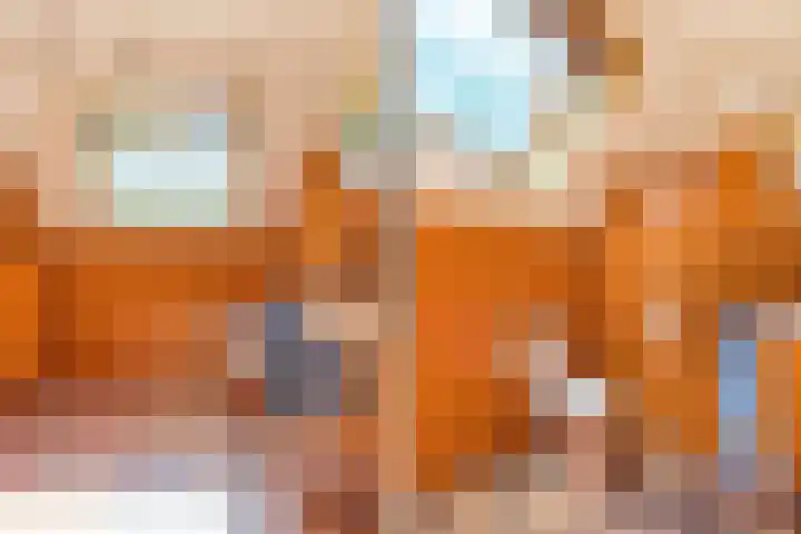 Prins Johan Frisolaan 13 't Harde thumbnail 46