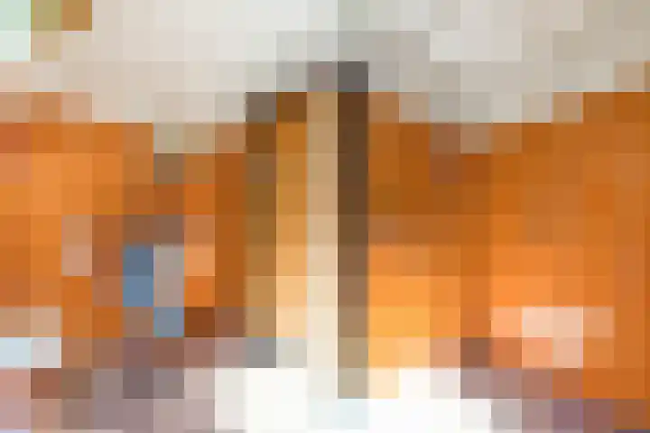 Prins Johan Frisolaan 13 't Harde thumbnail 47