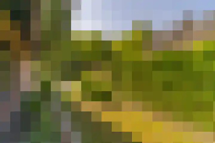 Prins Johan Frisolaan 13 't Harde thumbnail 48