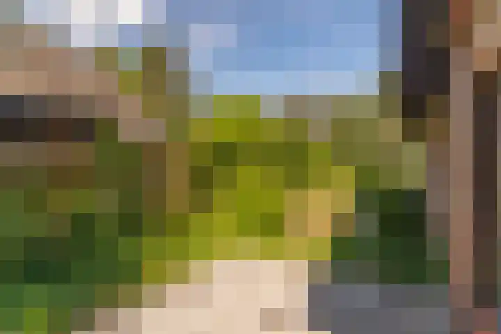 Prins Johan Frisolaan 13 't Harde thumbnail 49