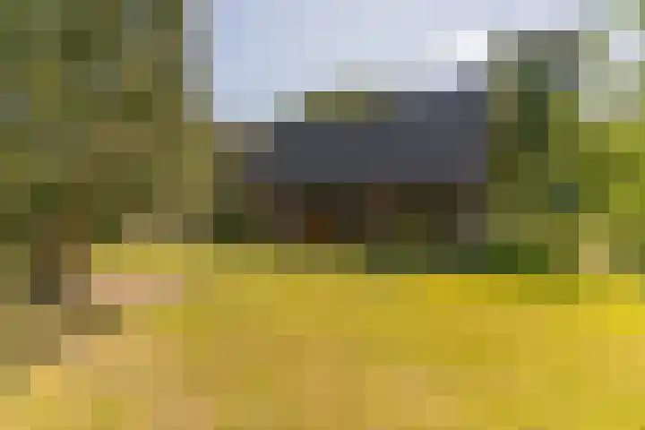Prins Johan Frisolaan 13 't Harde thumbnail 5