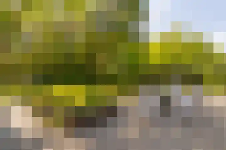 Prins Johan Frisolaan 13 't Harde thumbnail 51