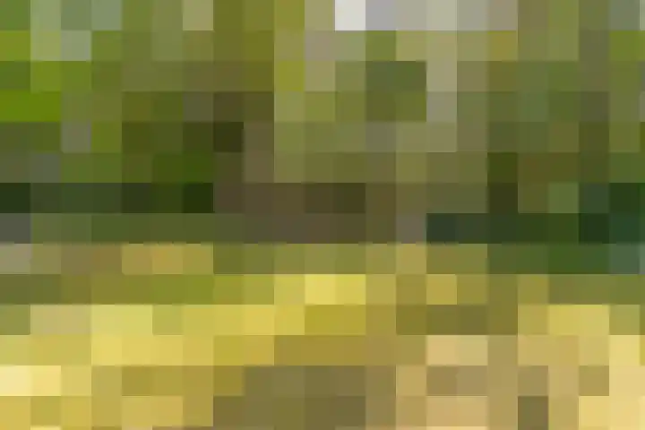 Prins Johan Frisolaan 13 't Harde thumbnail 52
