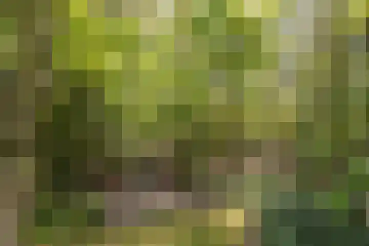 Prins Johan Frisolaan 13 't Harde thumbnail 53