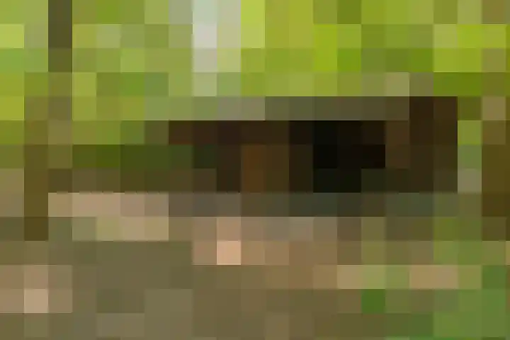 Prins Johan Frisolaan 13 't Harde thumbnail 56