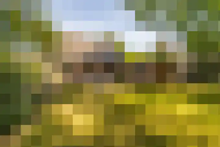 Prins Johan Frisolaan 13 't Harde thumbnail 59
