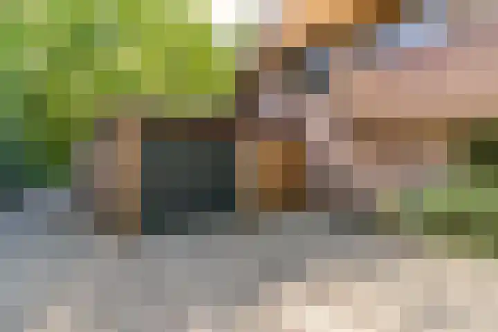 Prins Johan Frisolaan 13 't Harde thumbnail 6