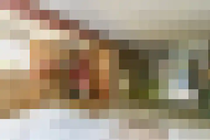 Prins Johan Frisolaan 13 't Harde thumbnail 61