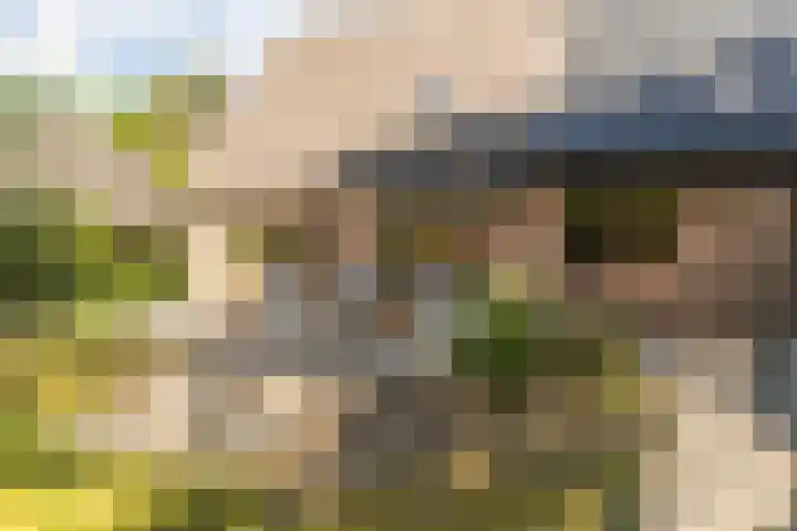 Prins Johan Frisolaan 13 't Harde thumbnail 63