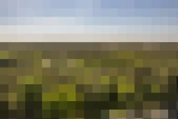 Prins Johan Frisolaan 13 't Harde thumbnail 64