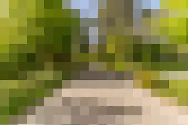 Prins Johan Frisolaan 13 't Harde thumbnail 65