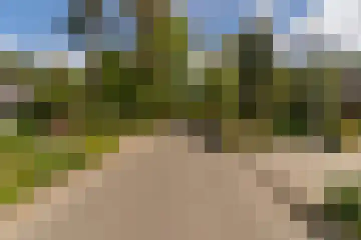 Prins Johan Frisolaan 13 't Harde thumbnail 66
