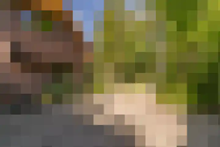 Prins Johan Frisolaan 13 't Harde thumbnail 7
