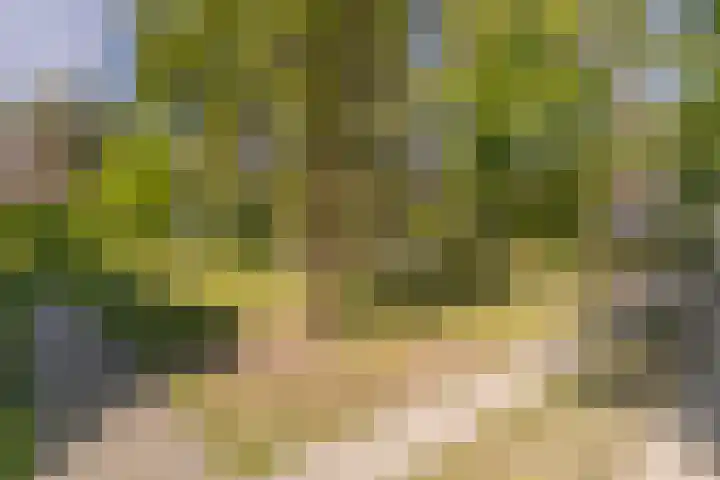 Prins Johan Frisolaan 13 't Harde thumbnail 8