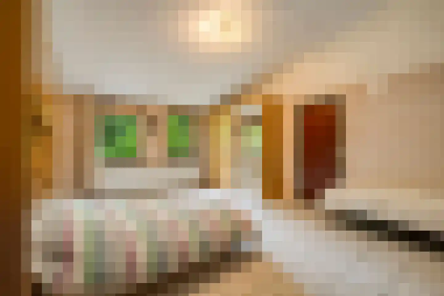 Prins Johan Frisolaan 23 't Harde thumbnail 27