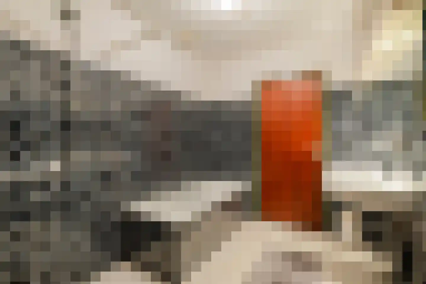 Prins Johan Frisolaan 23 't Harde thumbnail 30