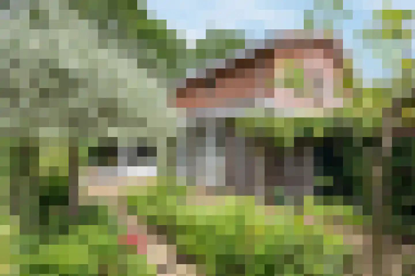 Prins Johan Frisolaan 5 Amersfoort thumbnail 61