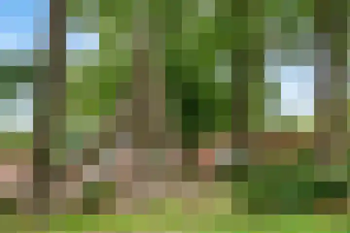 Prins Johan Frisolaan 6 Amersfoort thumbnail 28